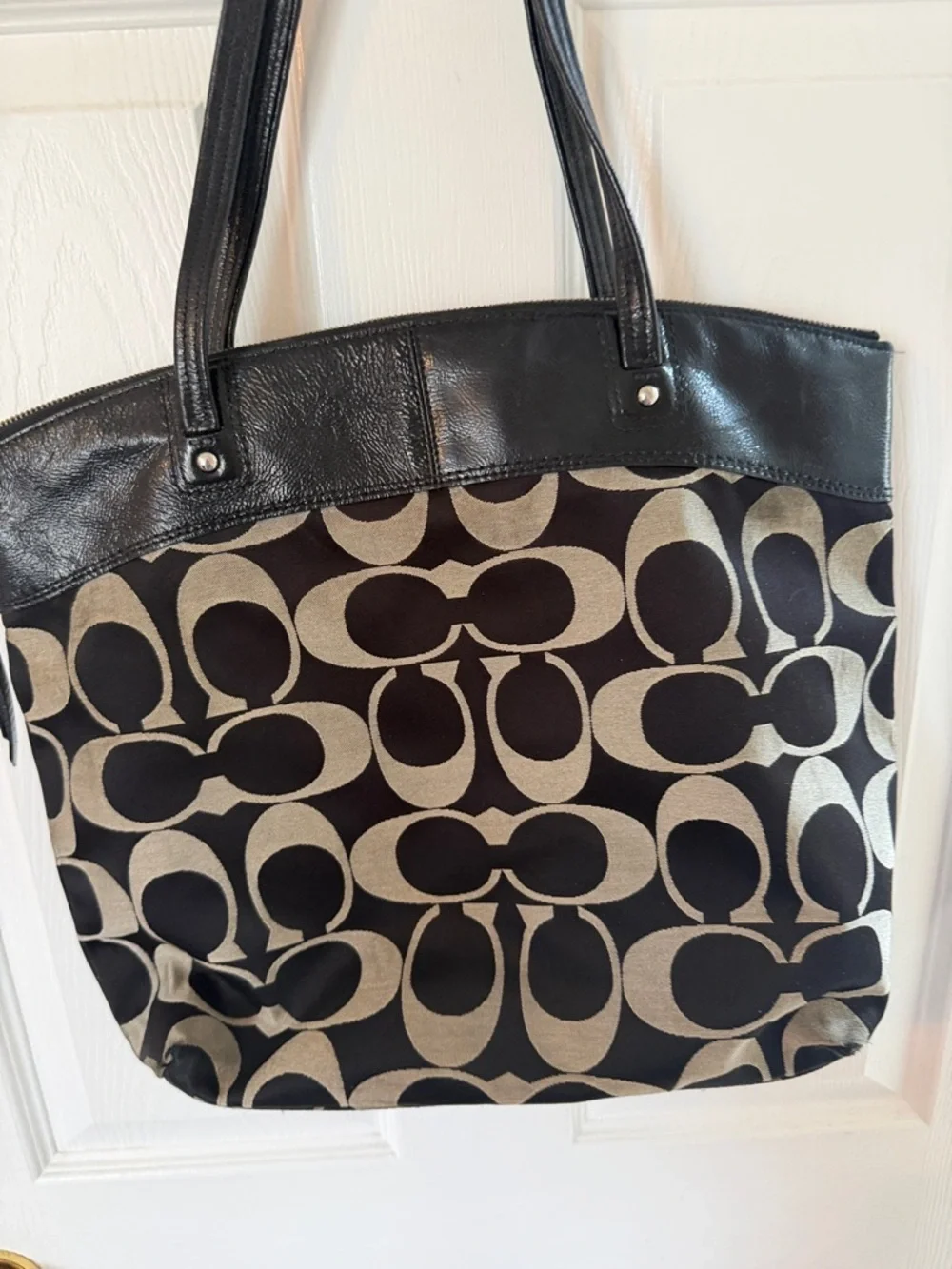 Coach signature daisy
